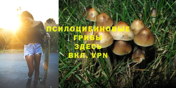 тгк Пенза