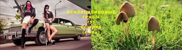 альфа пвп Куйбышев