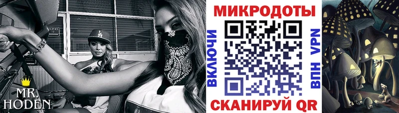 Галлюциногенные грибы Magic Shrooms Кемерово