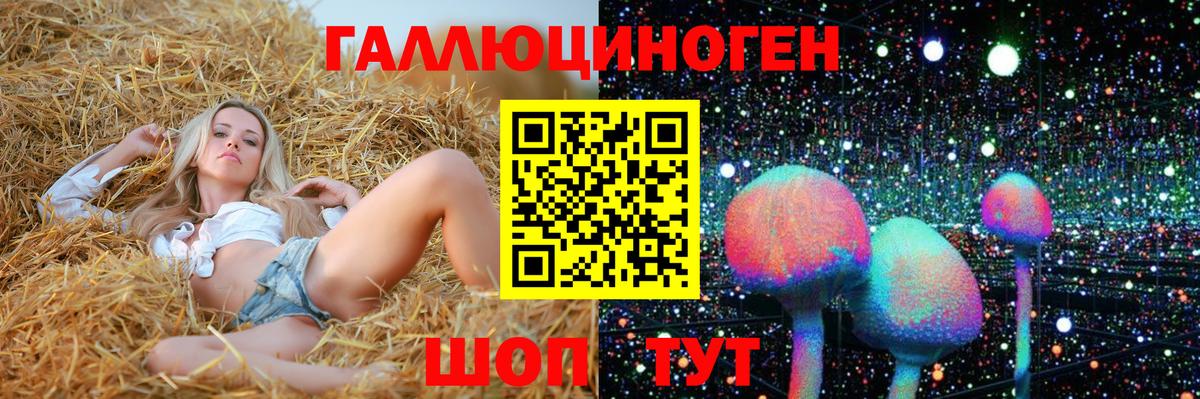 Кемерово  Псилоцибиновые грибы ЛСД  Вход с VPN 