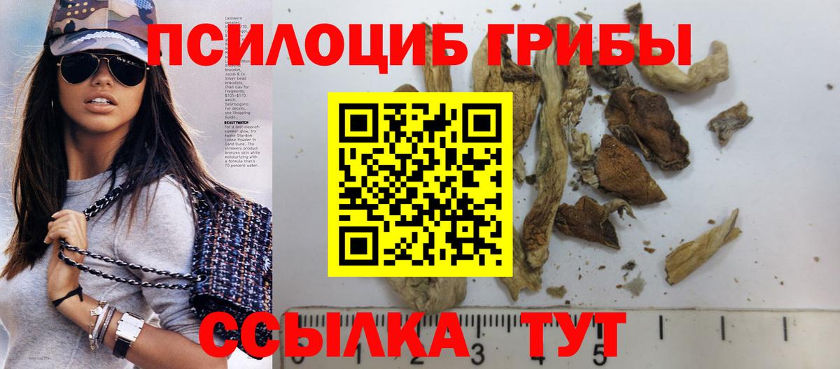 Псилоцибиновые грибы MAGIC MUSHROOMS Кемерово